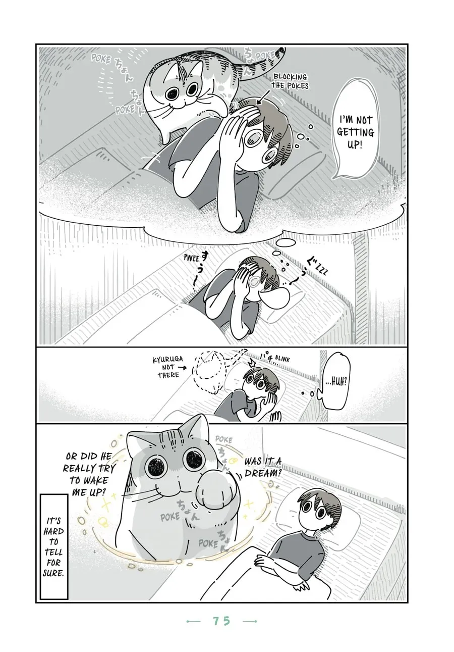 Nights With a Cat Chapter 85 page 3 - 