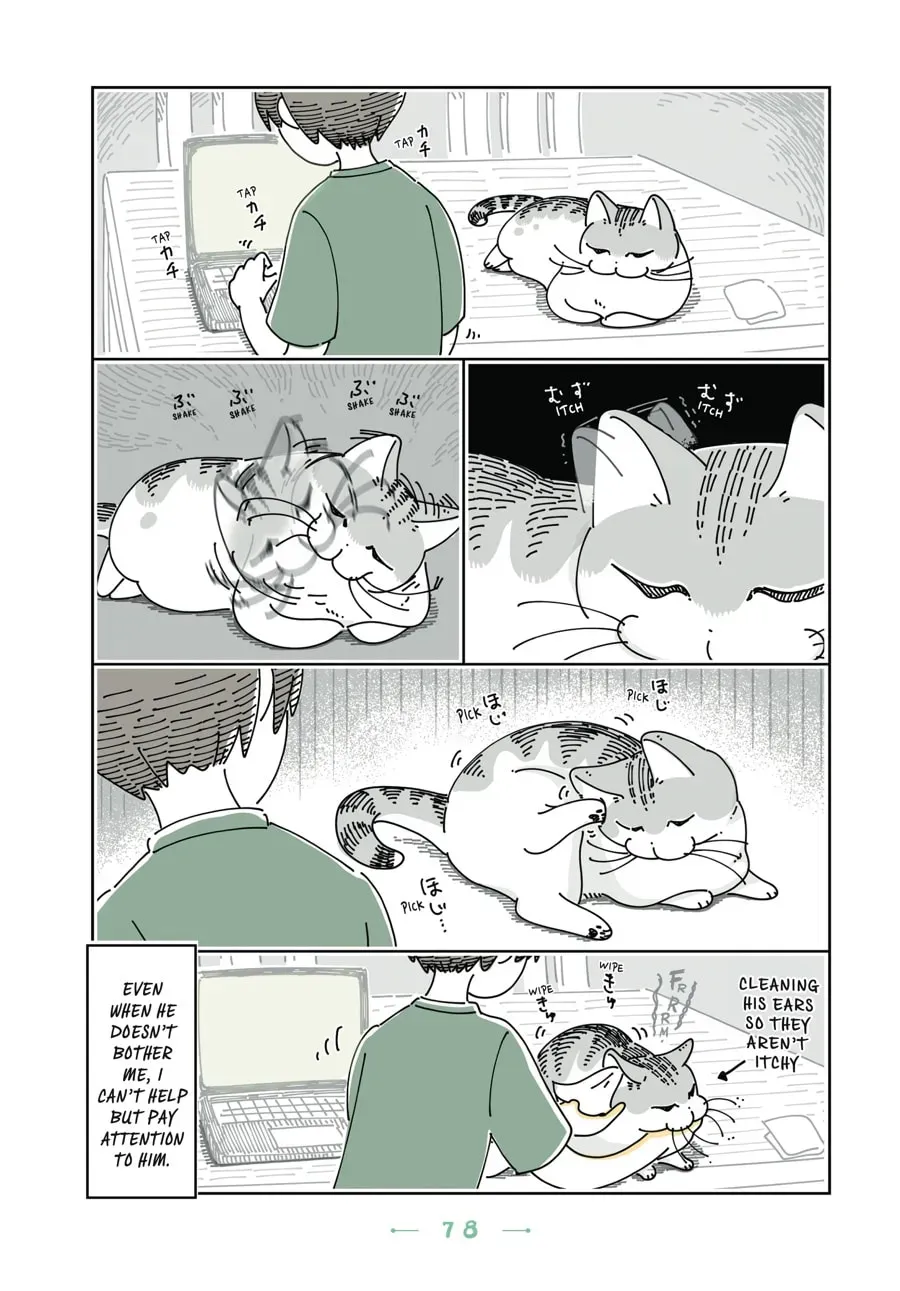 Nights With a Cat Chapter 86 page 3 - 