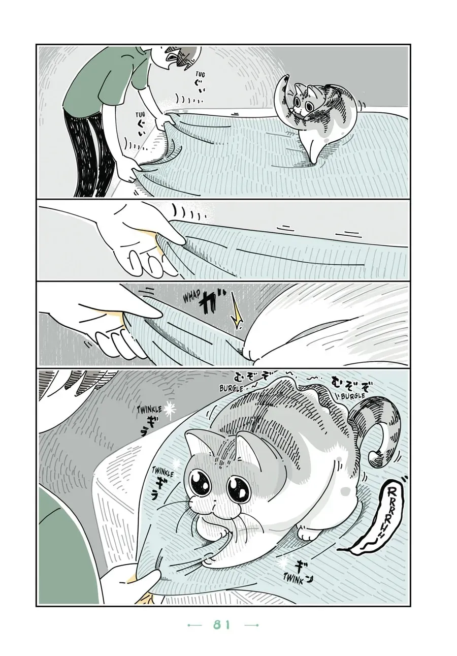 Nights With a Cat Chapter 87 page 3 - 