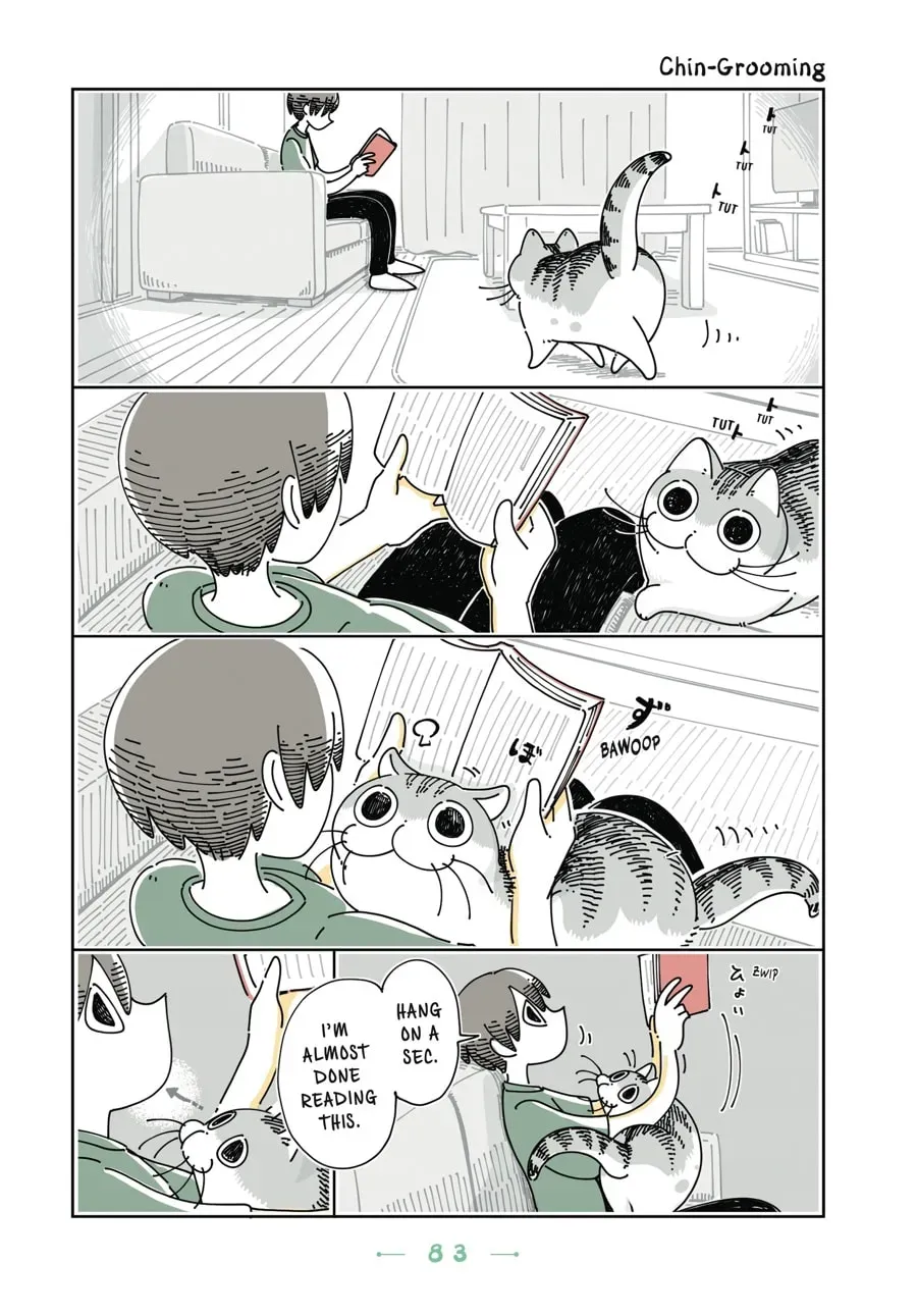 Nights With a Cat Chapter 88 page 1 - 