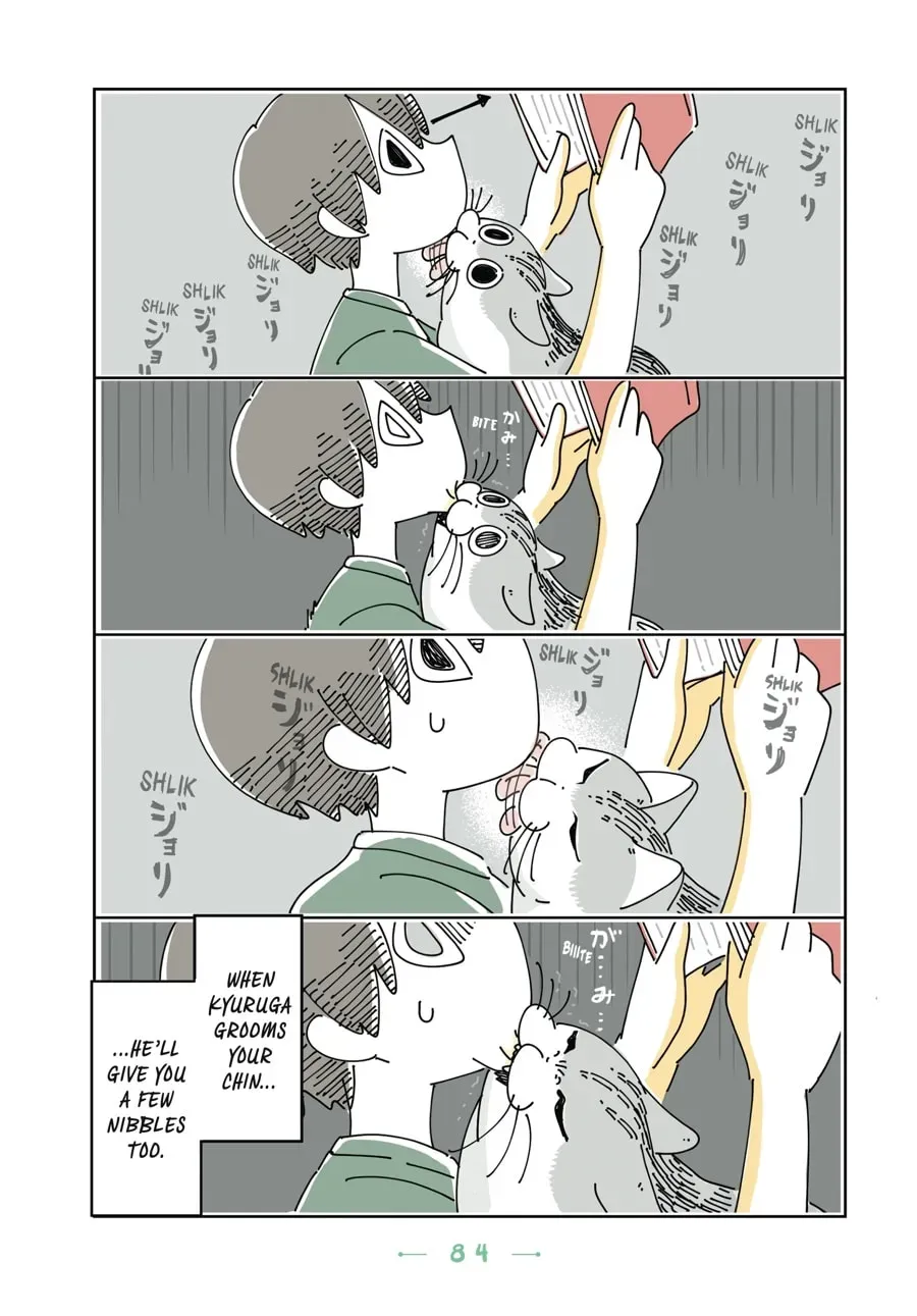 Nights With a Cat Chapter 88 page 2 - 