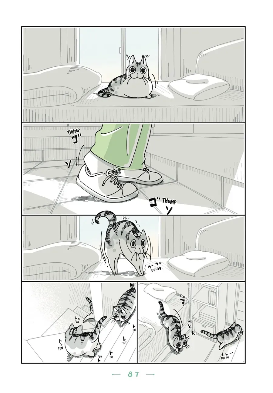 Nights With a Cat Chapter 89 page 2 - 