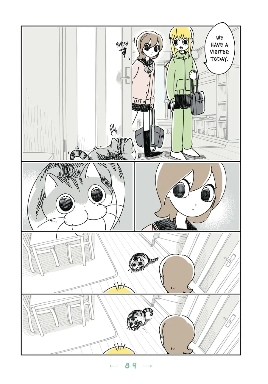 Nights With a Cat Chapter 89 page 4 - 