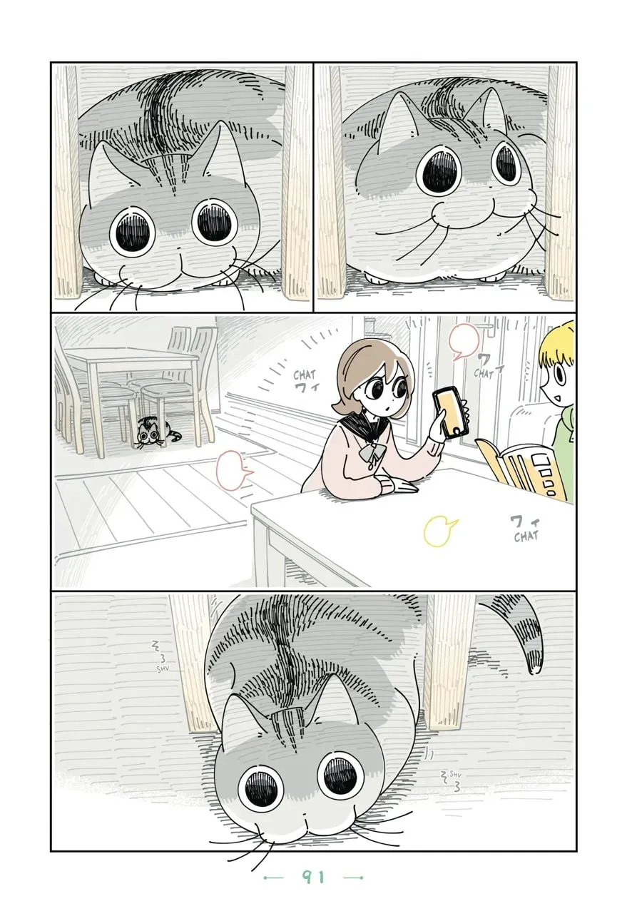 Nights With a Cat Chapter 89 page 6 - 