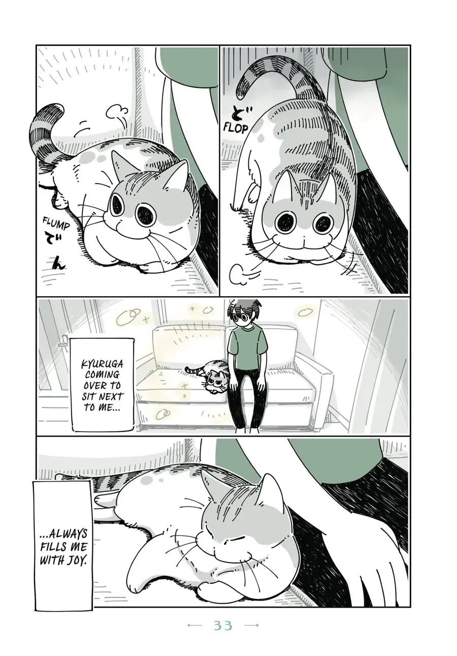 Nights With a Cat Chapter 9.1 page 2 - 