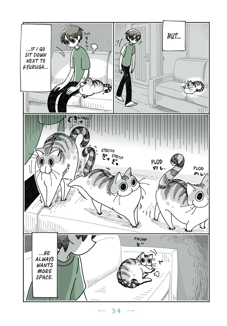Nights With a Cat Chapter 9.1 page 3 - 