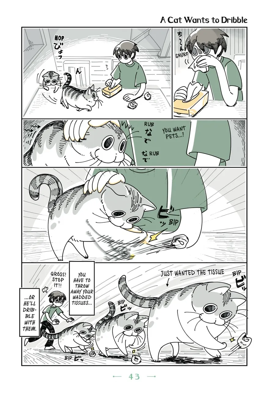 Nights With a Cat Chapter 9 page 1 - 