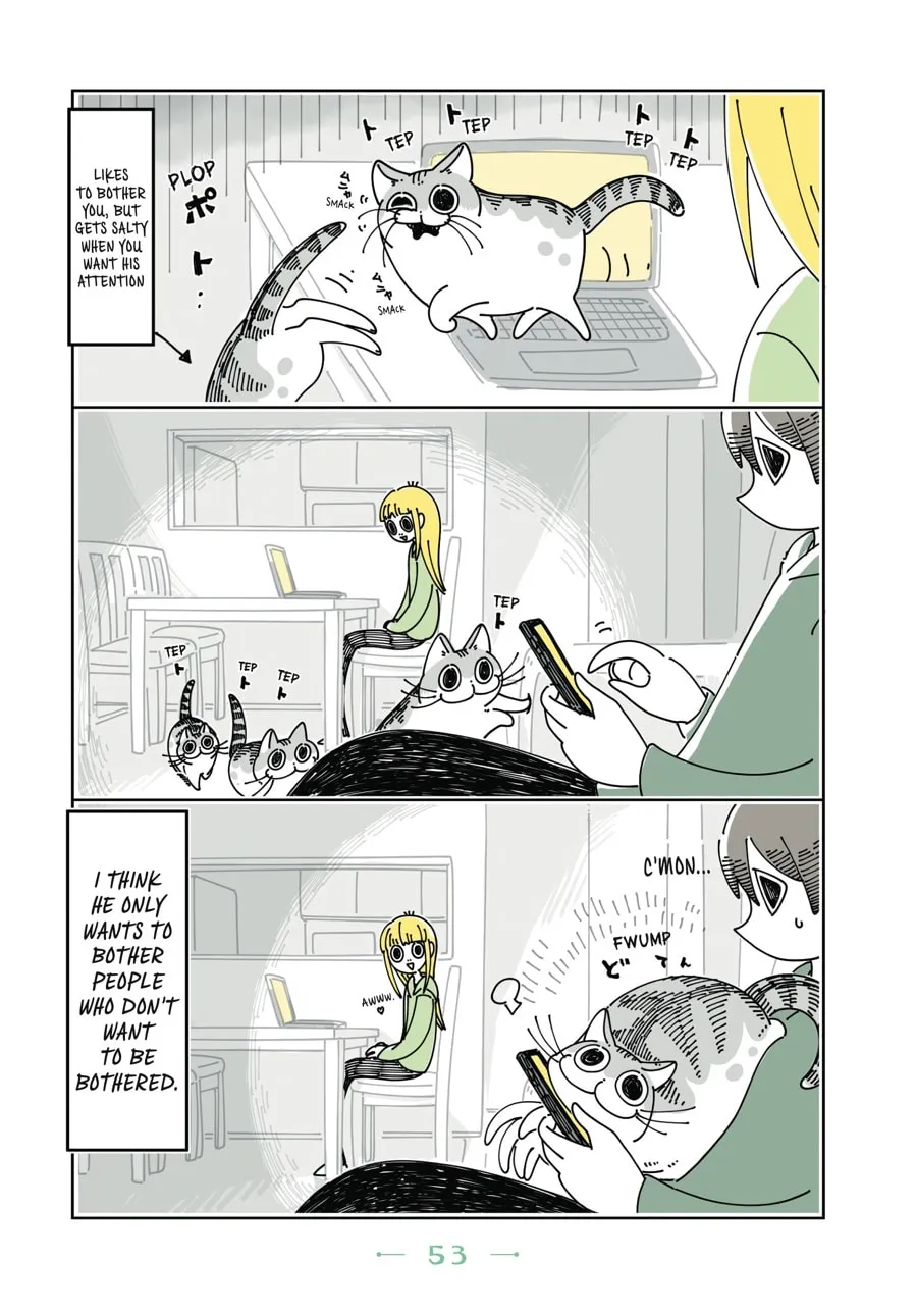 Nights With a Cat Chapter 9 page 11 - 