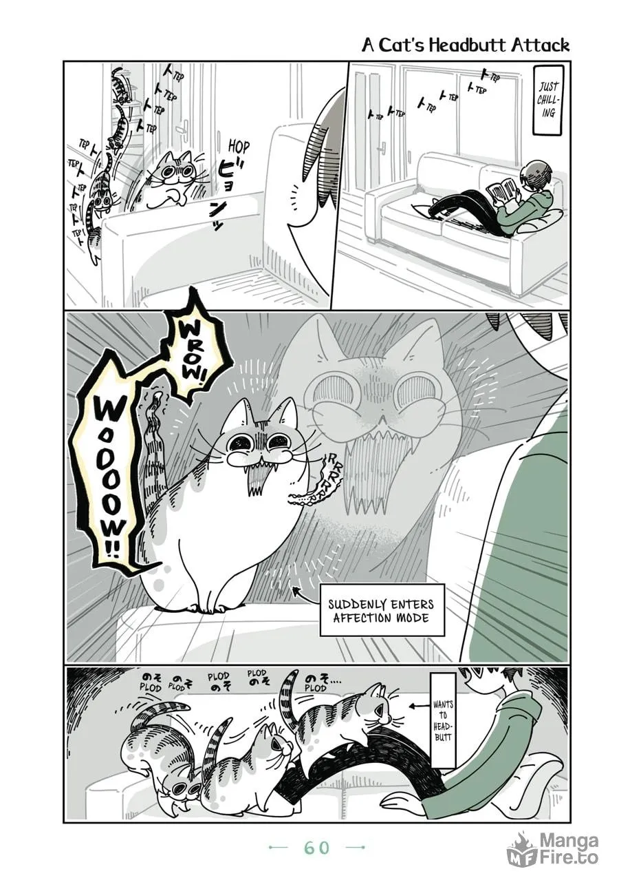Nights With a Cat Chapter 9 page 18 - 