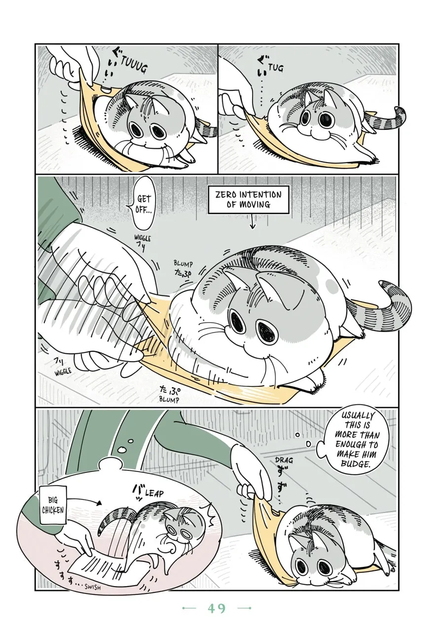 Nights With a Cat Chapter 9 page 7 - 