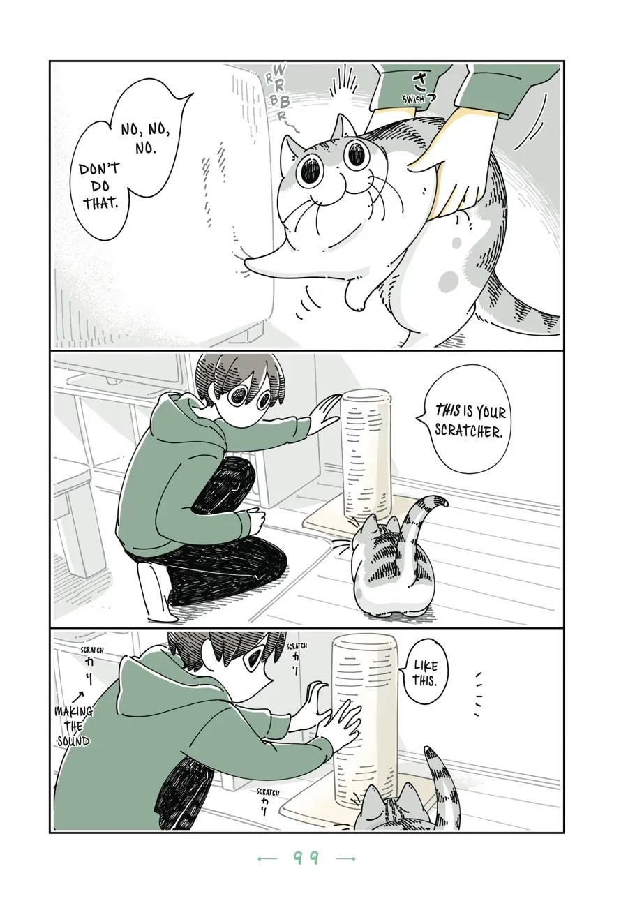 Nights With a Cat Chapter 90 page 2 - 