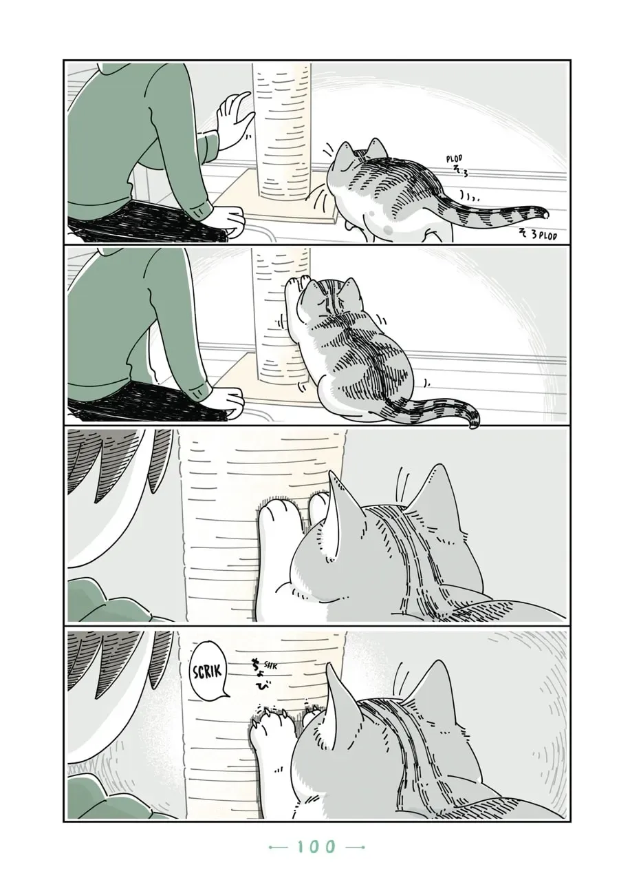 Nights With a Cat Chapter 90 page 3 - 