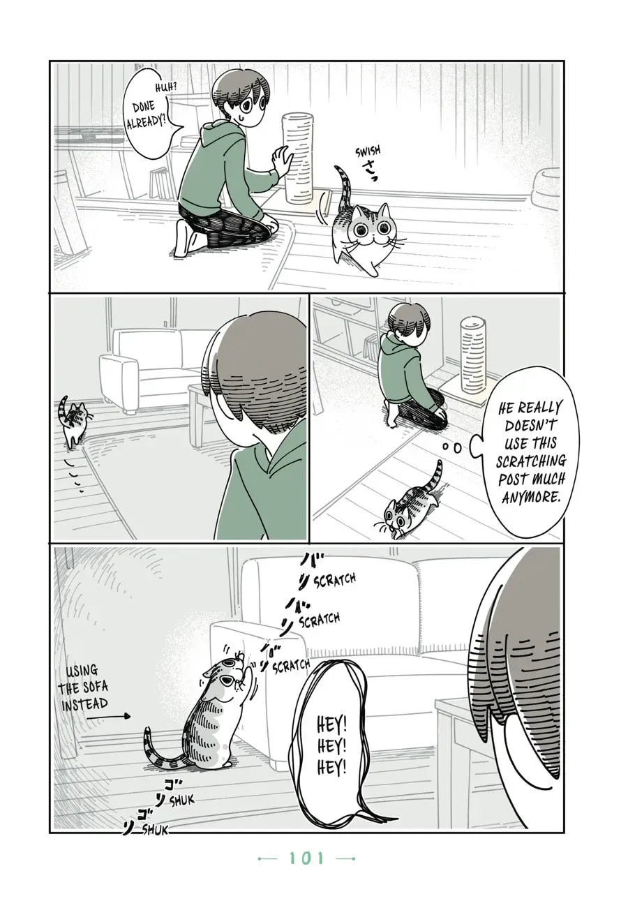 Nights With a Cat Chapter 90 page 4 - 