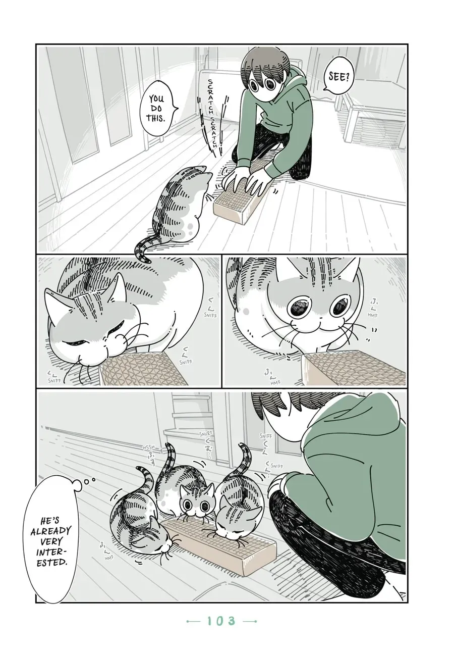 Nights With a Cat Chapter 90 page 6 - 