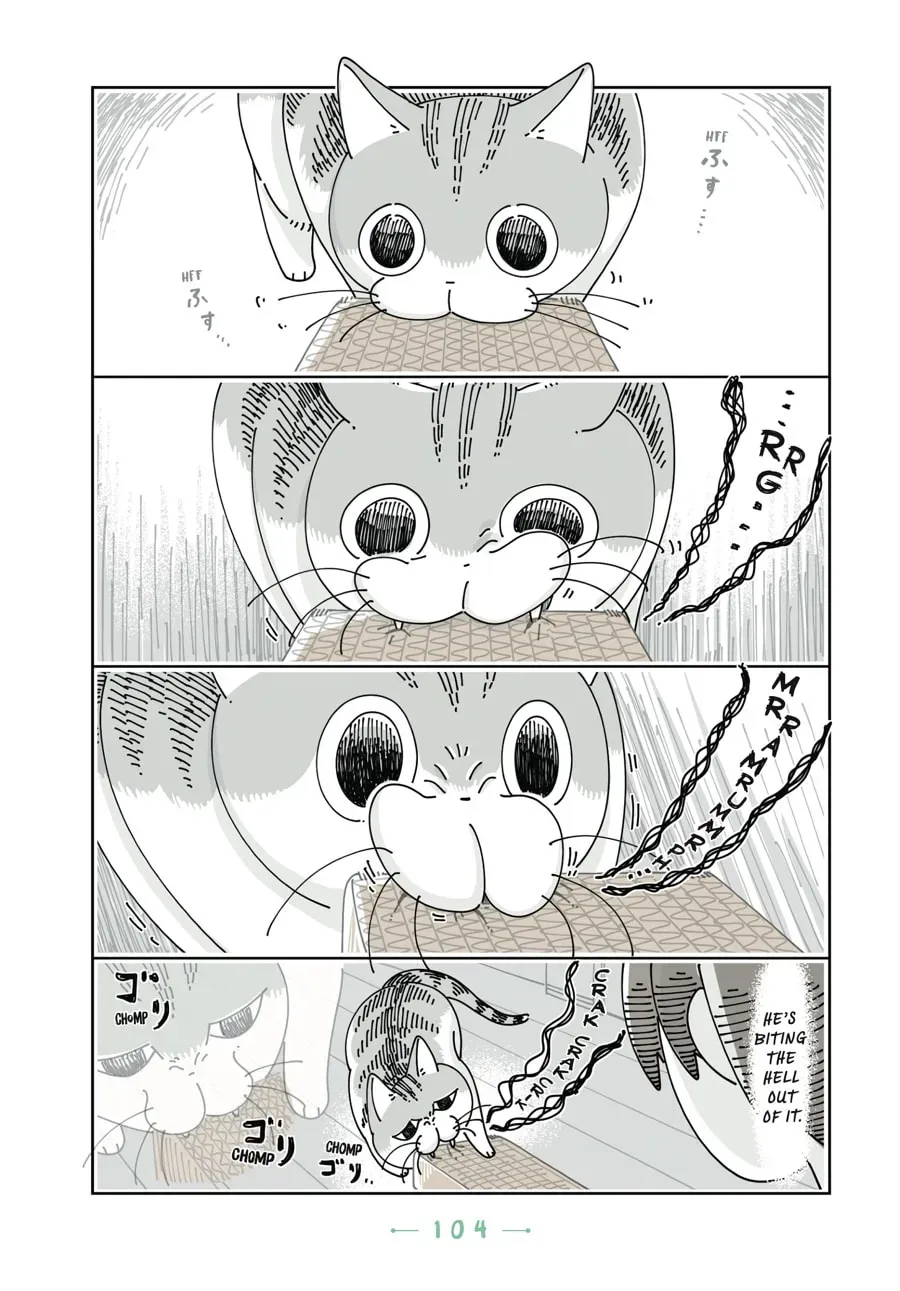 Nights With a Cat Chapter 90 page 7 - 