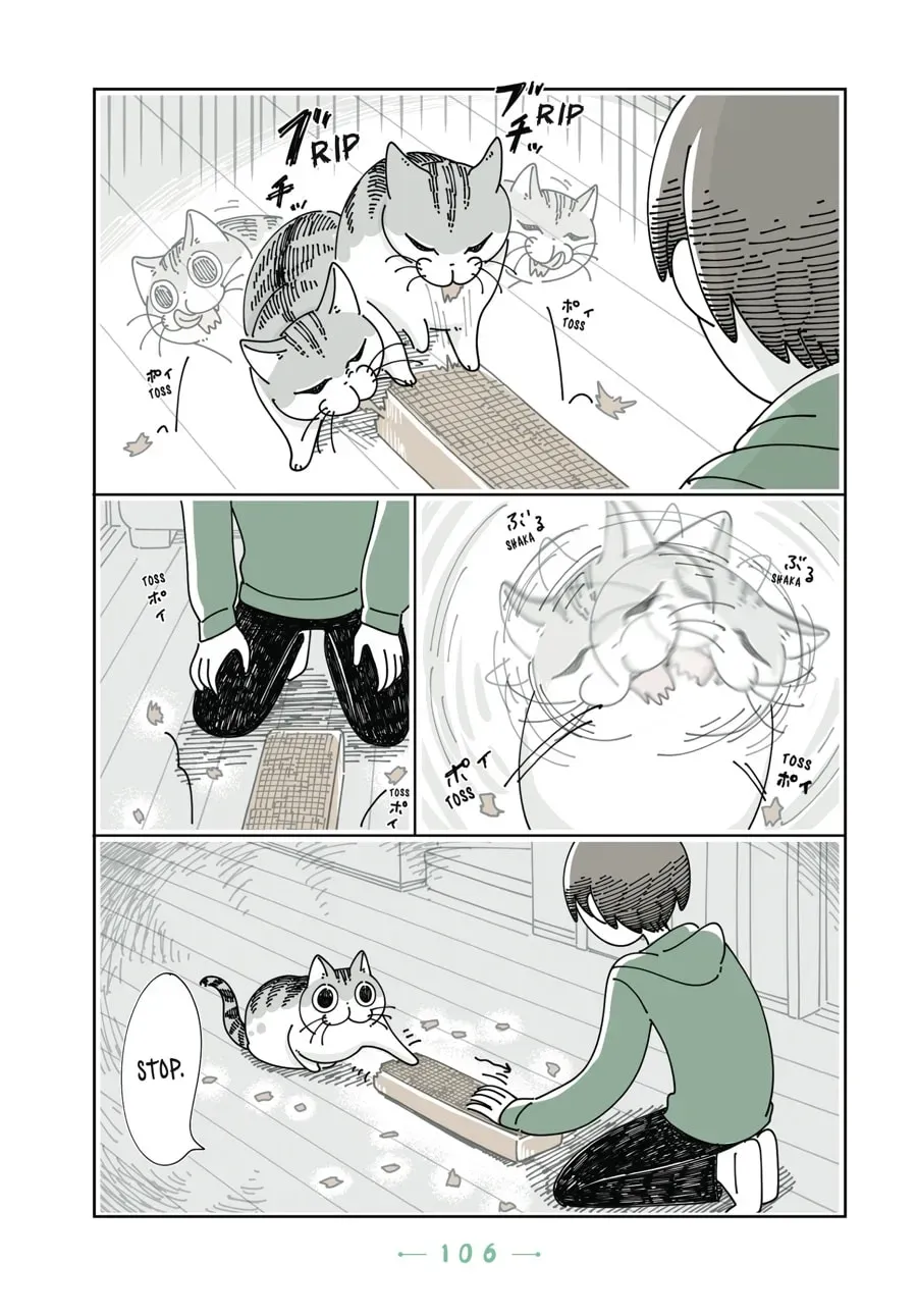 Nights With a Cat Chapter 90 page 9 - 