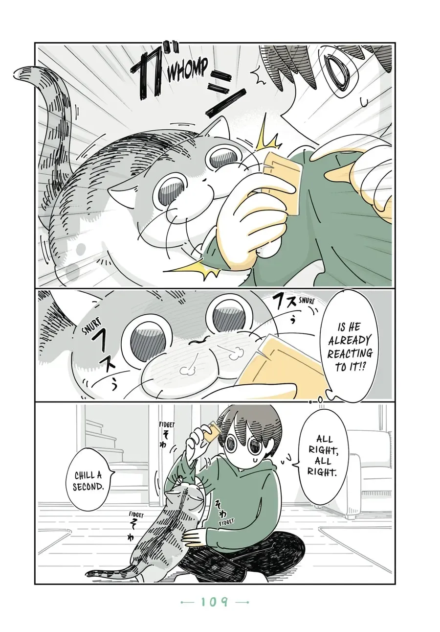 Nights With a Cat Chapter 91 page 2 - 