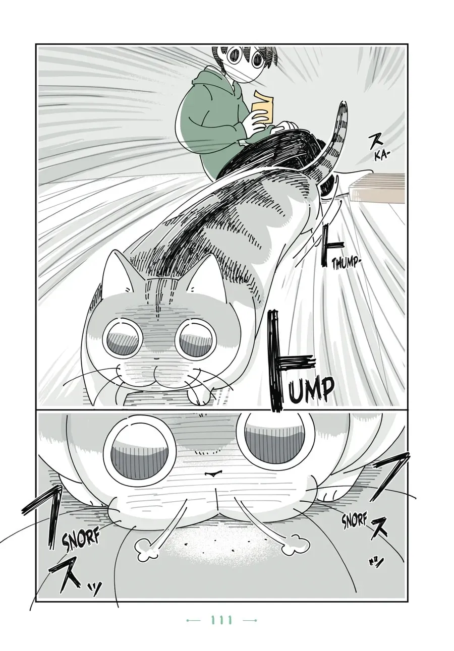 Nights With a Cat Chapter 91 page 4 - 
