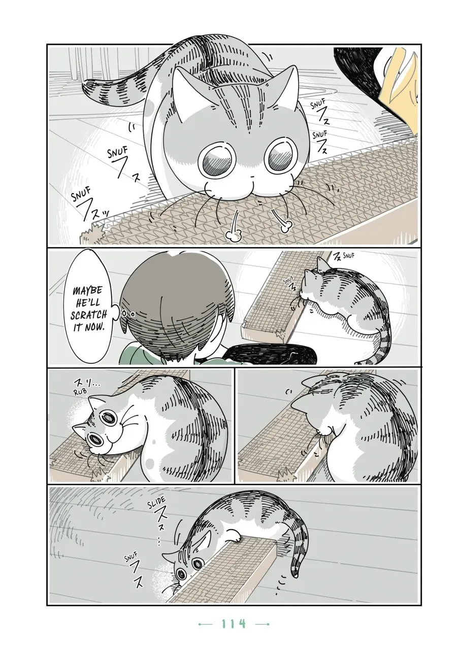 Nights With a Cat Chapter 91 page 7 - 