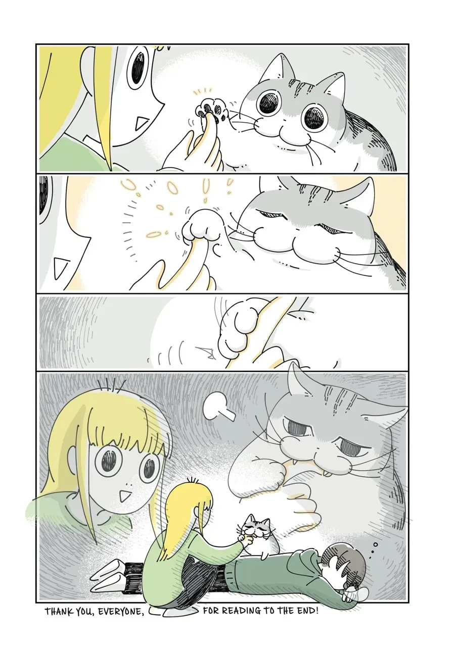 Nights With a Cat Chapter 92 page 12 - 