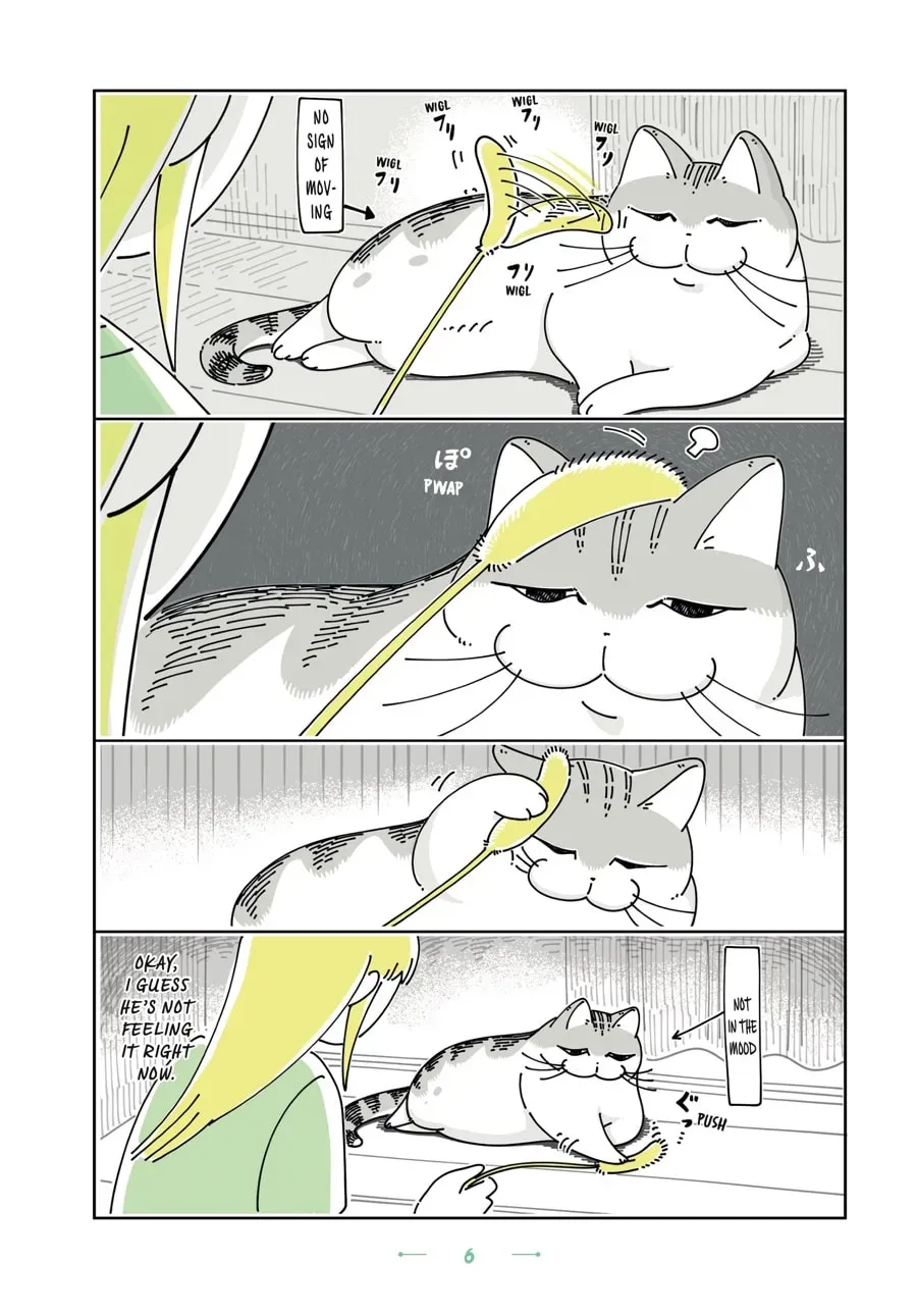 Nights With a Cat Chapter 93 page 7 - 