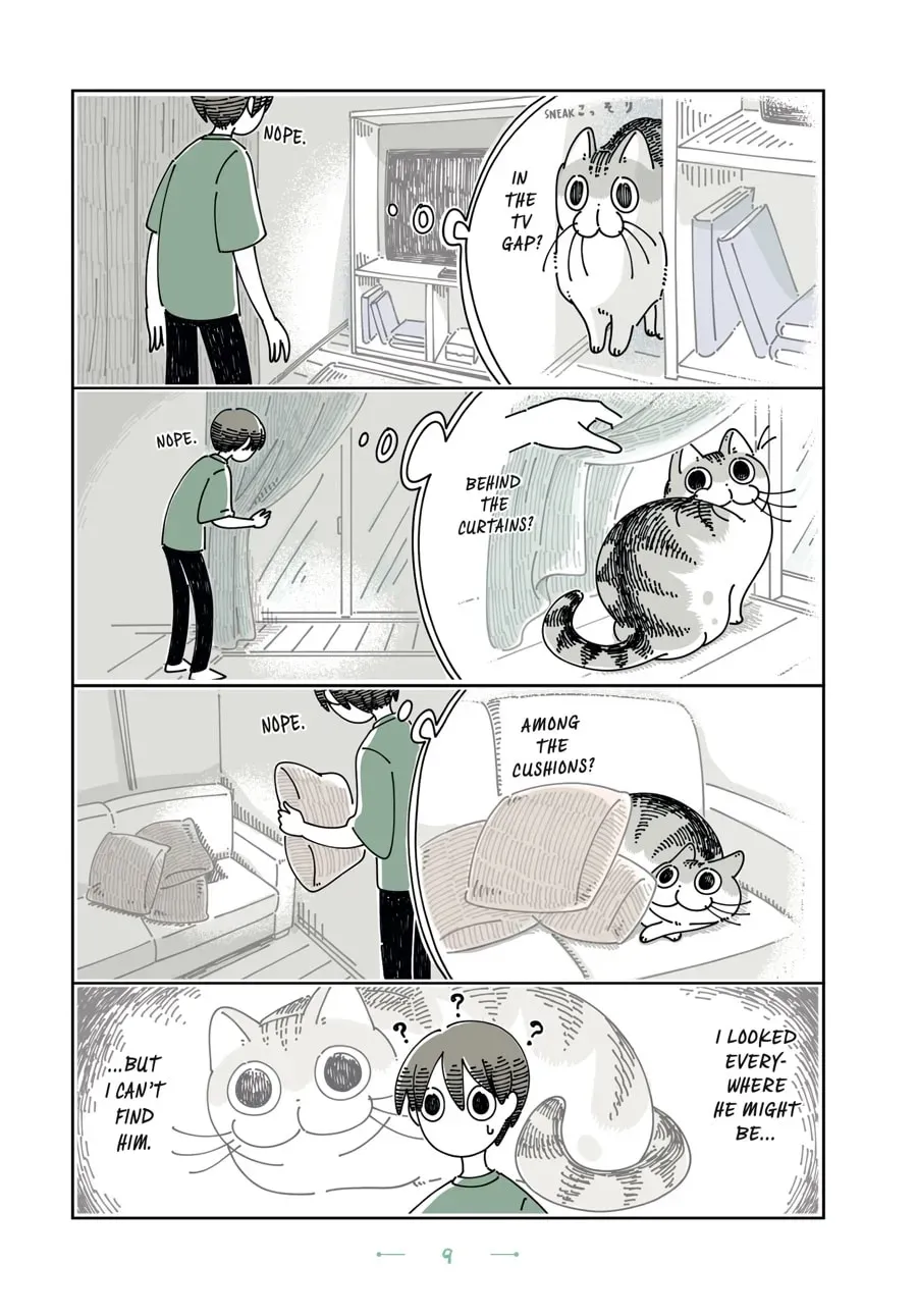 Nights With a Cat Chapter 94 page 2 - 
