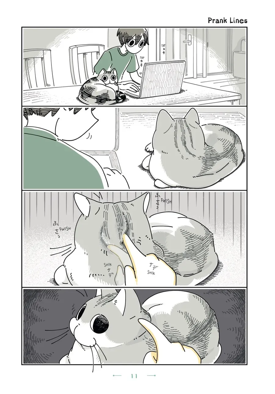 Nights With a Cat Chapter 95 page 1 - 