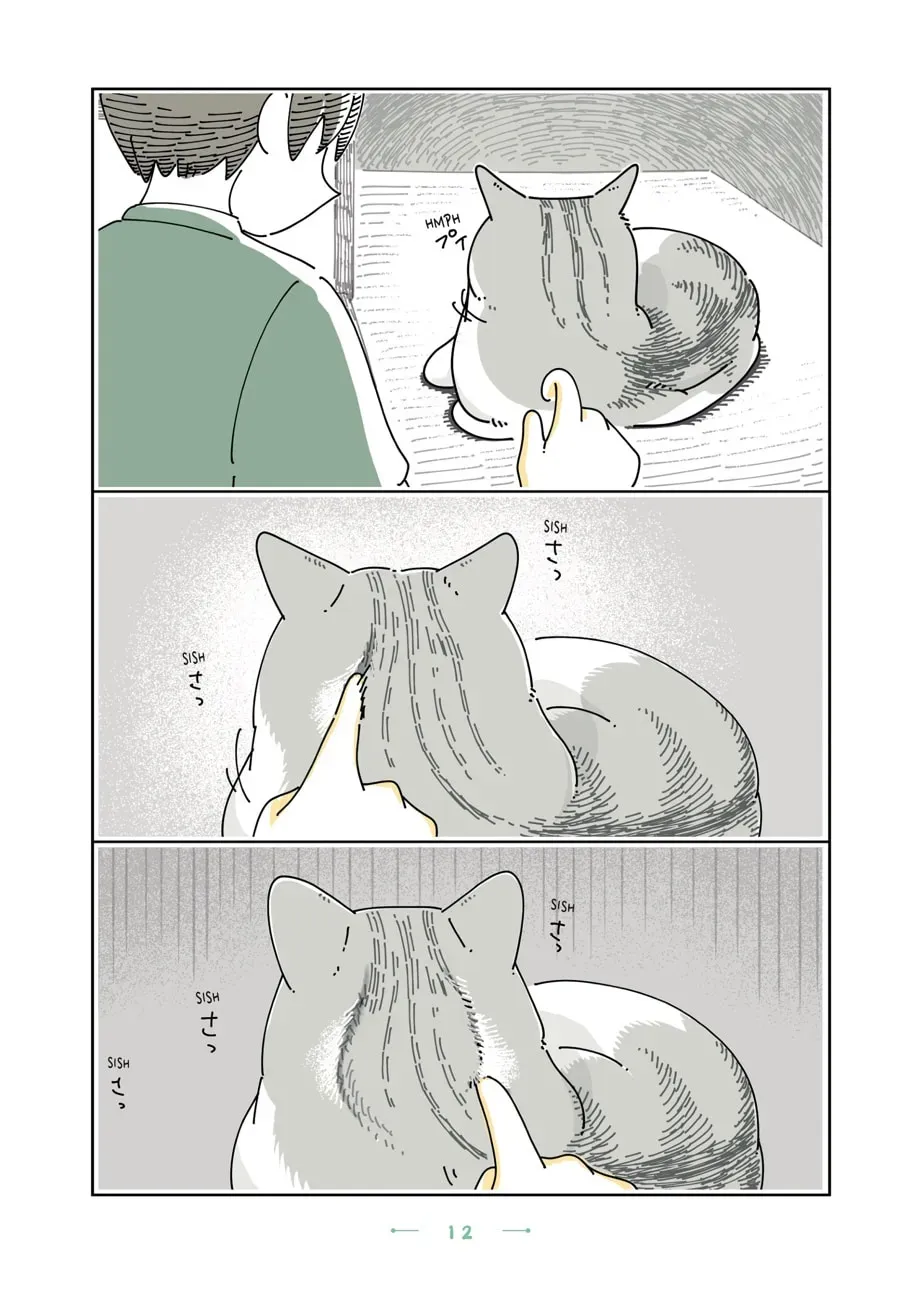 Nights With a Cat Chapter 95 page 2 - 