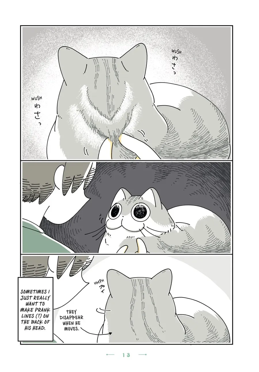 Nights With a Cat Chapter 95 page 3 - 