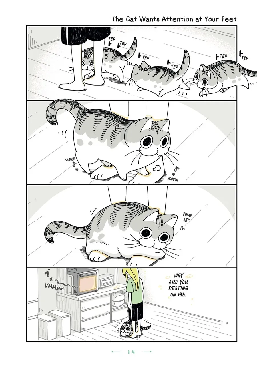 Nights With a Cat Chapter 96 page 1 - 
