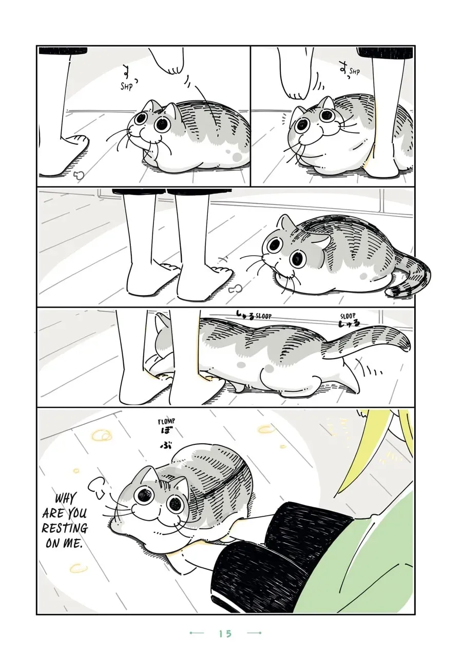 Nights With a Cat Chapter 96 page 2 - 