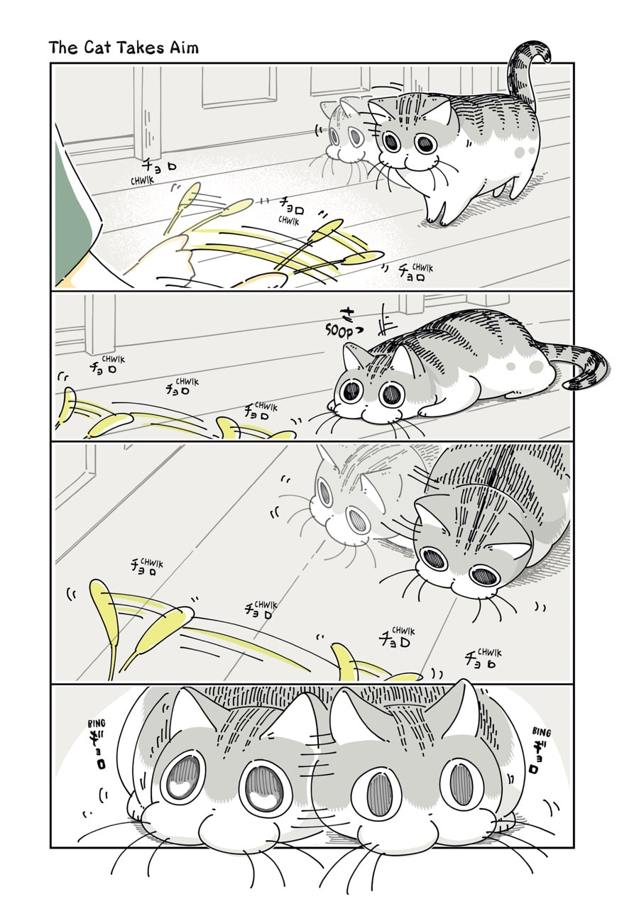 Nights With a Cat Chapter 97 page 1 - 