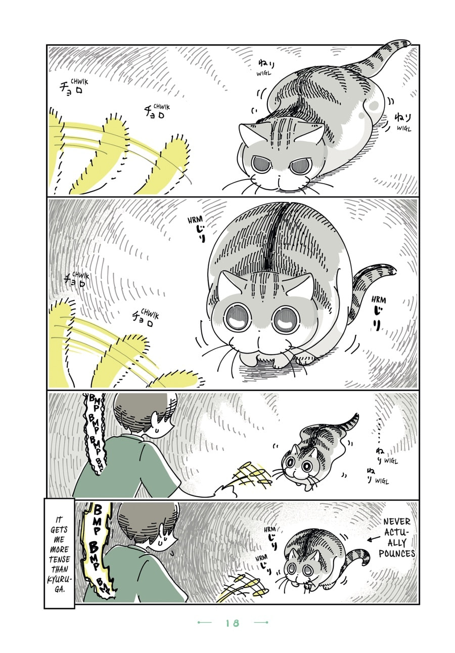 Nights With a Cat Chapter 97 page 2 - 