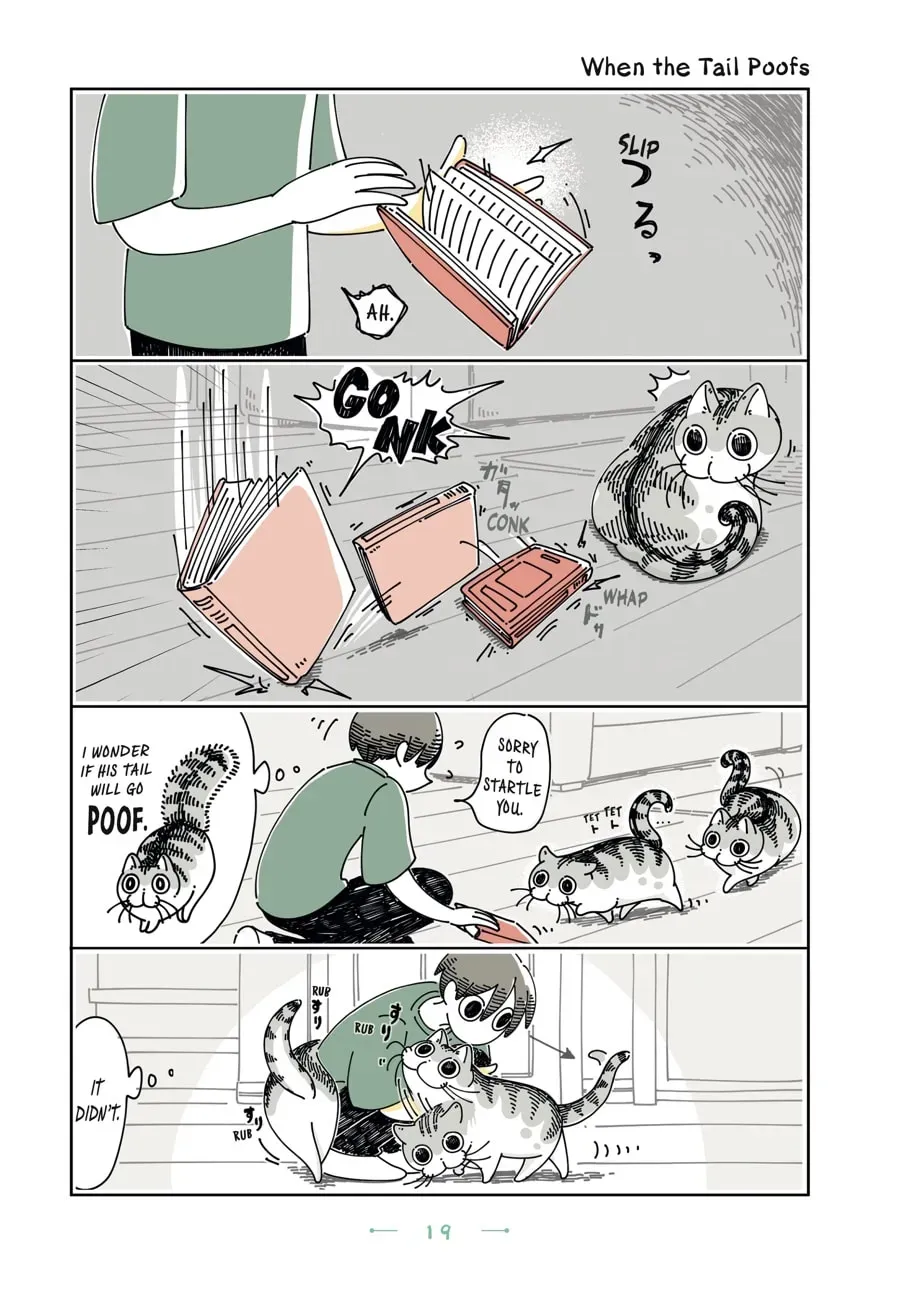 Nights With a Cat Chapter 98 page 1 - 
