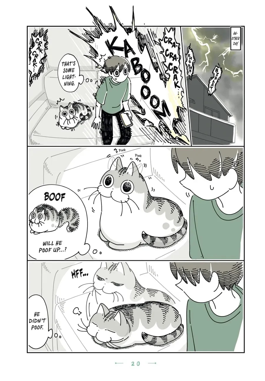 Nights With a Cat Chapter 98 page 2 - 