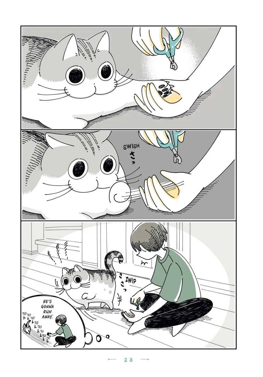 Nights With a Cat Chapter 99 page 2 - 