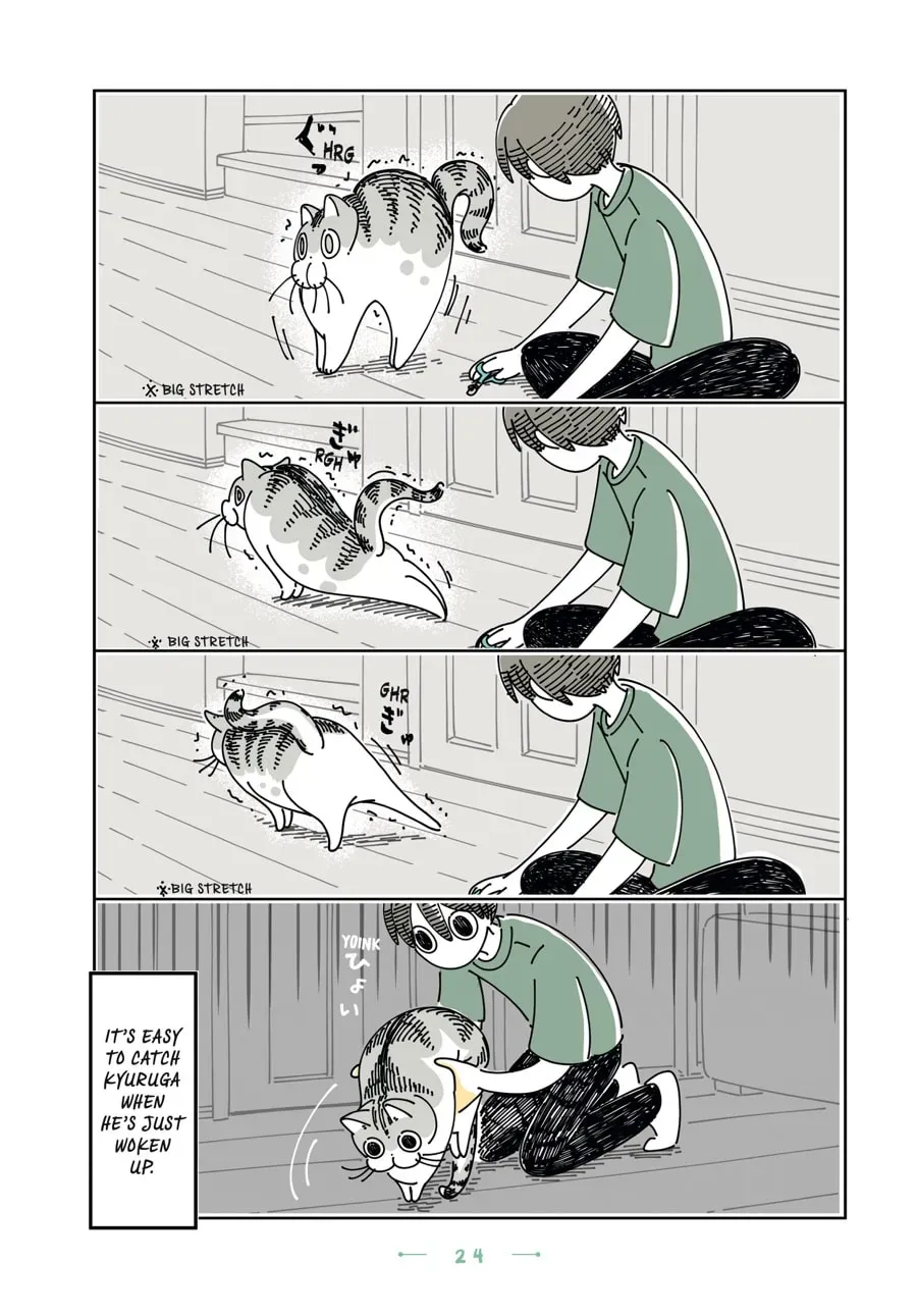 Nights With a Cat Chapter 99 page 3 - 