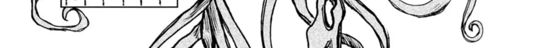 Nikubami Honegishimi Chapter 10.5 page 14 - 