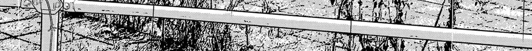 Nine Peaks Chapter 38 page 14 - 