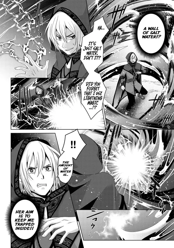 Nise Seiken Monogatari: Osananajimi no Seijo o Uttara Michizure ni Sareta Chapter 14 page 19 - 