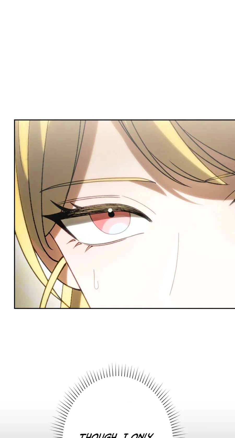 Nisemo no Koujo ni Shuuchakushi nai de Chapter 17 page 29 - 