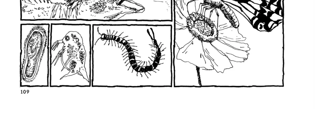 No Access No! Chapter 12 page 22 - 