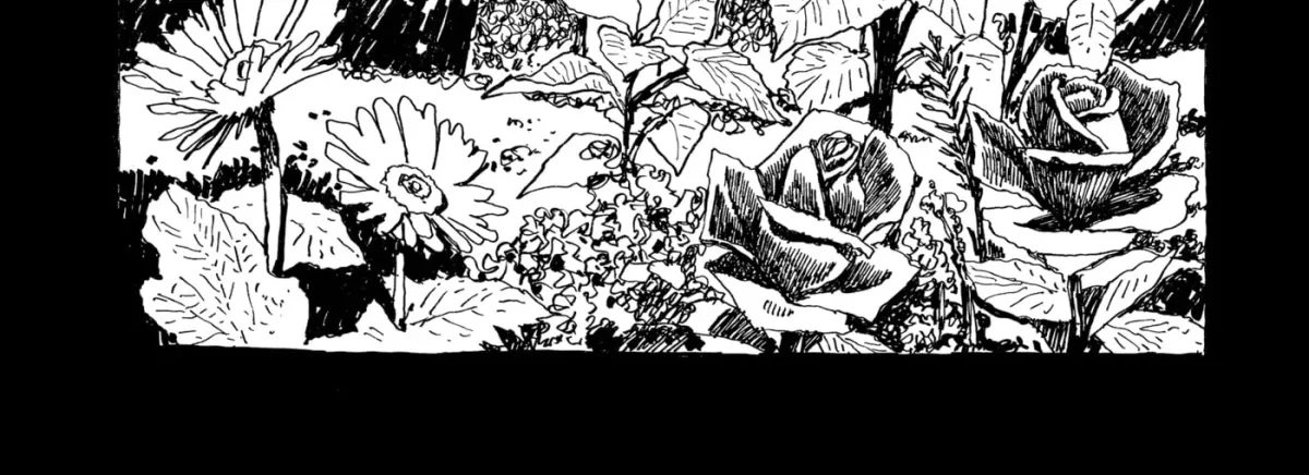 No Access No! Chapter 16 page 2 - 