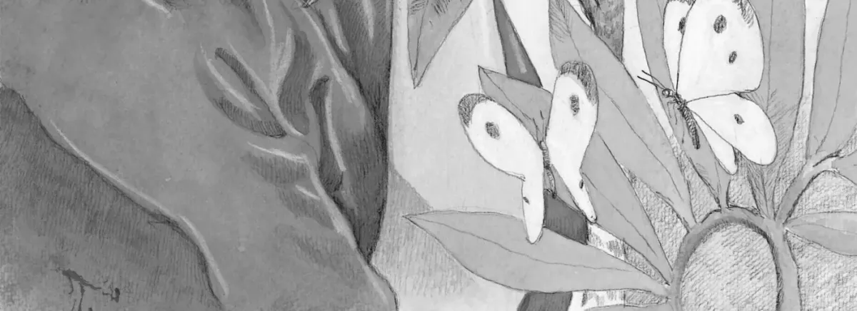 No Access No! Chapter 22 page 2 - 