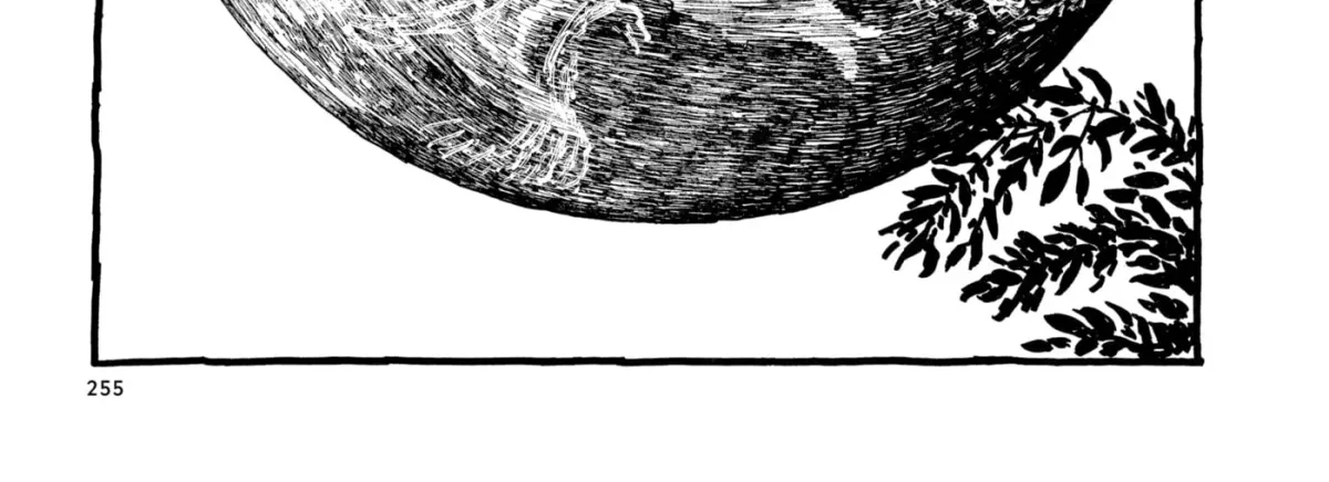 No Access No! Chapter 26 page 30 - 