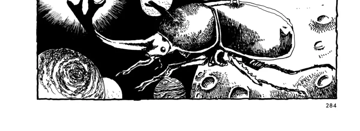 No Access No! Chapter 8 page 12 - 