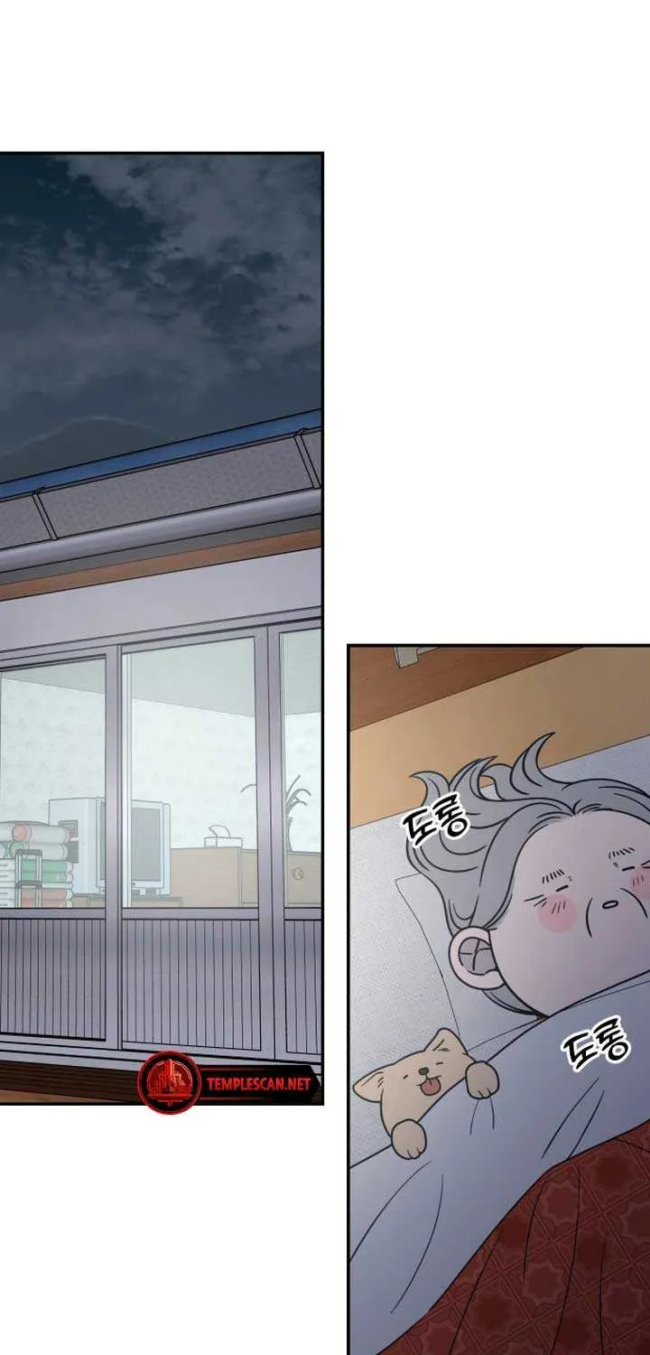 No Dating Allowed In The Office Chapter 17 page 42 - 