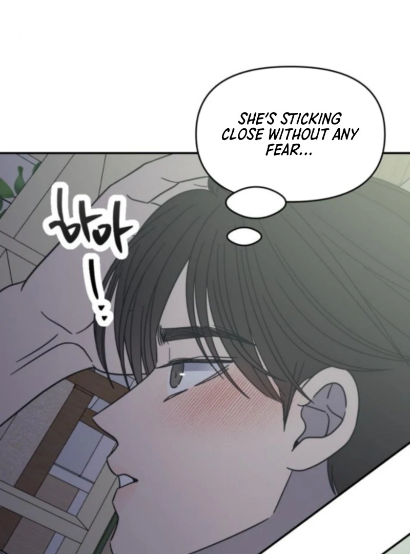 No Dating Allowed In The Office Chapter 76 page 97 - 