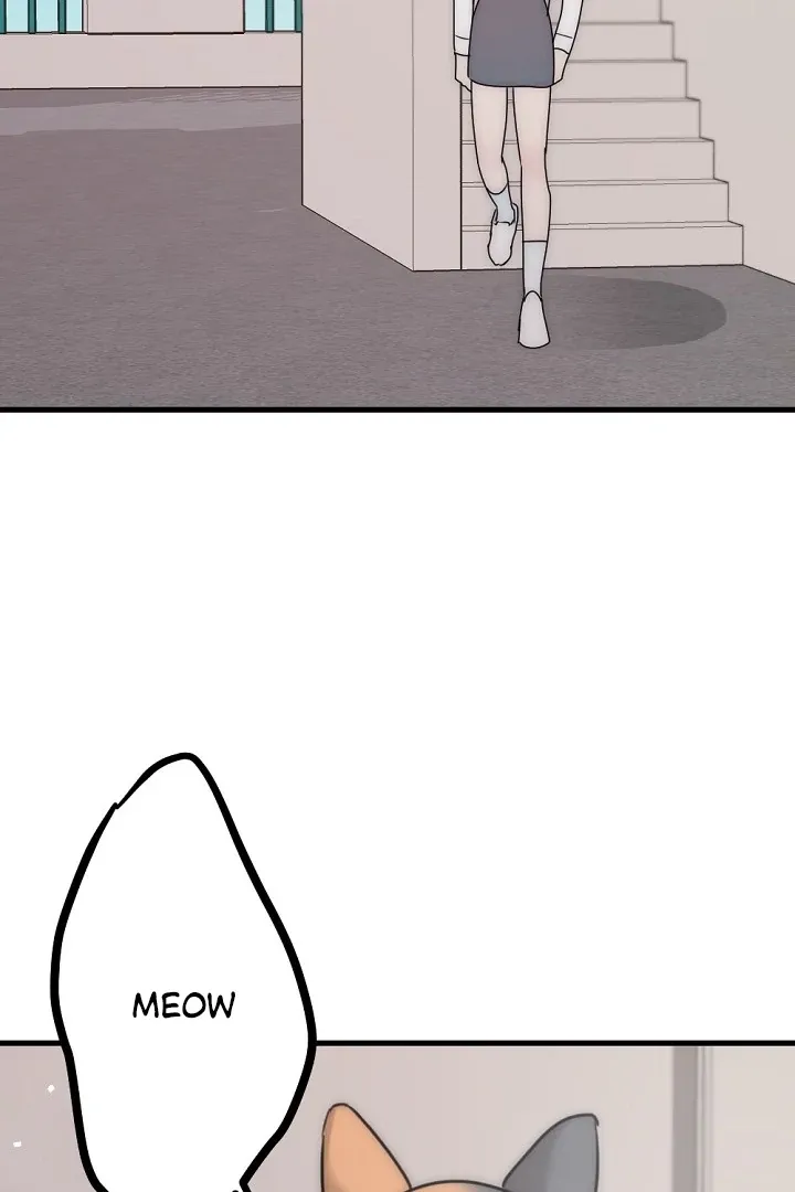 No escape, Sir. Chapter 4 page 79 - 