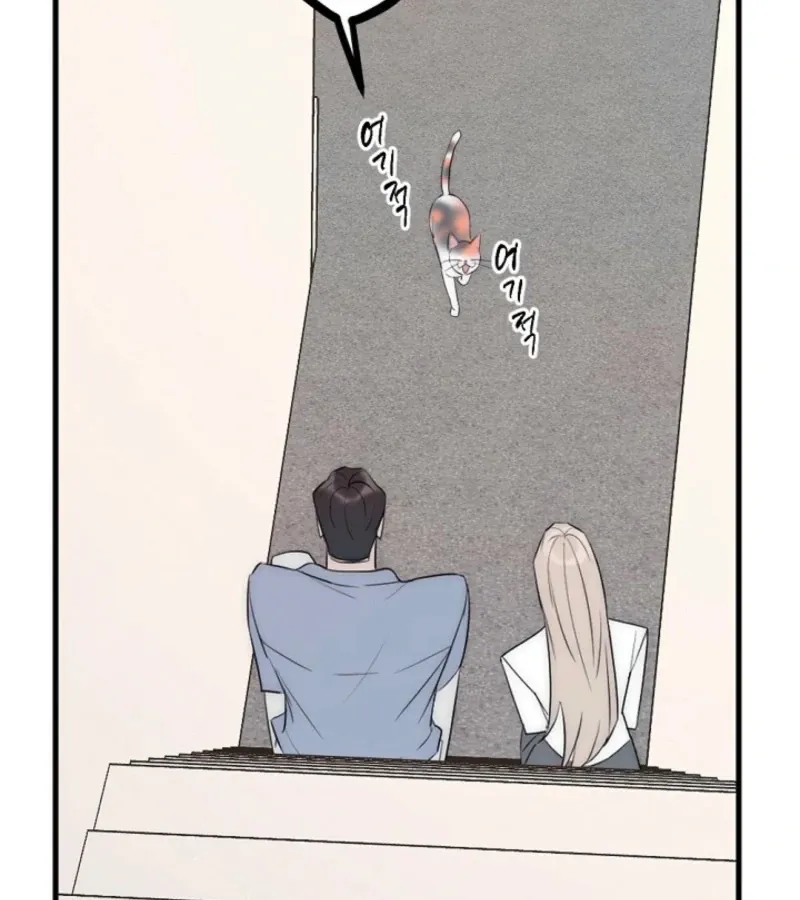 No escape, Sir. Chapter 8 page 71 - 